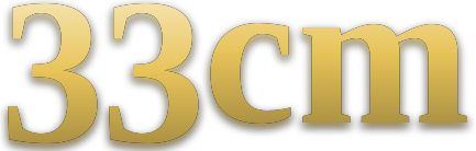 33cm logo